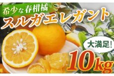 （先行予約・限定100セット・３月～５月発送）スルガエレガント（10kg）【静岡県 伊豆市 果物  柑橘類 】　015-003