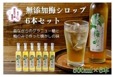 伊豆 月ヶ瀬 こだわりの 梅シロップ 500ml×６本セット 028-001　【 国産 無添加 焼酎 炭酸水 炭酸 飲料 果実 青果 果樹 ドリンク かき氷 お菓子 ケーキ ジュース  瓶 贈り物 ギフト プレゼント お土産 手土産 お取り寄せ 伊豆　梅シロップ 梅しろっぷ うめしろっぷ シロップ しろっぷ  梅 うめ ウメ　】
