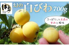 （先行予約・限定3０セット・5月下旬～6月中旬発送）白びわ（700g）【静岡県 伊豆市 果物 幻 枇杷 】010-009