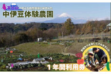 自然 の中で 野菜作り中伊豆体験農園 市民農園 １年間利用券 【静岡県 伊豆市 農業 野菜 チャレンジ 静岡 伊豆 】 C-038