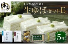 大黒屋 謹製 生ゆば セット E  （修禅寺ゆば（重ね）500ｇ×１パック・修禅寺ゆば（笹）500ｇ×１パック・豆乳胡麻豆腐 380ｇ×１丁・特製がんもどき ５個・わさび １本）【伊豆 修善寺 湯葉 豆腐 がんも 豆乳 重ね 豆乳 胡麻  濃厚  手作り 修禅寺 水  国産大豆 わさび 生 お土産  ギフト  御歳暮 御中元 父の日 母の日】　030-004