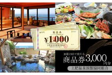 土肥温泉 旅館協同組合 商品券（3,000円分）【宿泊券 宿泊 温泉 温泉宿 旅行 旅行クーポン お食事券 協同組合 静岡県 伊豆市 静岡 伊豆　旅館協同組合 温泉 温泉宿 温泉地 宿 ホテル 旅館 宿泊 ご宿泊 宿泊券 宿泊利用券 商品券 チケット クーポン 旅行クーポン お食事 お食事券 旅行 トラベル 入浴 海水浴 魚介類 魚介 海鮮 】1-012