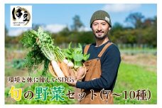 身体 環境 優しい SDGs 旬の野菜セット （旬の野菜７～10種） 【無農薬 無肥料 自然栽培 旬 新鮮 直送 自然農】　010-010