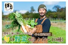  （定期便・4回）発送月が選べる 身体 環境 優しい SDG 旬の野菜（７～10種）セット 【 無農薬 無肥料 自然栽培 旬 新鮮 直送 自然農 定期便】040-006