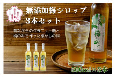 伊豆 月ヶ瀬 こだわりの 梅シロップ 500ml×３本セット（化粧箱・ラッピング込み） 015-001　【 国産 無添加 焼酎 炭酸水 炭酸 飲料 果実 青果 果樹 ドリンク かき氷 お菓子 ケーキ ジュース  瓶 贈り物 ギフト プレゼント お土産 手土産 お取り寄せ 伊豆　梅シロップ 梅しろっぷ うめしろっぷ シロップ しろっぷ  梅 うめ ウメ　】