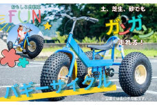 おもしろ自転車 バギーサイクル 【自転車 サイクリング  タイヤ  伊豆 静岡】90-002
