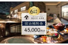 VACATION VILLA BLUE ARK バケーション ヴィラ 宿泊補助券 45,000円分 【静岡県 伊豆市 土肥 旅行 カップル 女子会 ファミリー ヴィラ 静岡 伊豆 】15-004 ブルーアーク