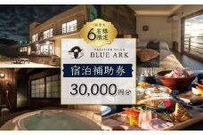  VACATION VILLA BLUE ARK バケーション ヴィラ 宿泊補助券 30,000円分 【静岡県 伊豆市 土肥 旅行 カップル 女子会 ファミリー ヴィラ 静岡 伊豆】 10-008 ブルーアーク