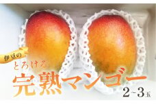 （数量限定・７月～８月発送）とろける あまい マンゴー アーウィン 2～3個（約600g～900g）【果物 マンゴー 減農薬 減化学肥料  甘い】　A-071　