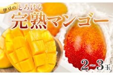 【数量限定・７月～８月発送】とろける あまい マンゴー アーウィン 2～3個（約600g～900g）| 果物 マンゴー 減農薬 減化学肥料  甘い ジューシー お取り寄せ ギフト 贈り物 期間限定 人気 高級 濃厚 芳醇 新鮮 高糖度 果物 食品 デザート おやつ 産地直送 おすすめ ご褒美 お祝い ギフト プレゼント 贈り物 贈答 静岡 伊豆 | A-071　