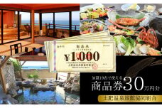 土肥温泉 旅館協同組合 商品券（300,000円分）【宿泊券 宿泊 温泉 温泉宿 旅行 旅行クーポン お食事券 協同組合 静岡県 伊豆市 静岡 伊豆 旅館協同組合 温泉 温泉宿 温泉地 宿 ホテル 旅館 宿泊 ご宿泊 宿泊券 宿泊利用券 商品券 チケット クーポン 旅行クーポン お食事 お食事券 旅行 トラベル 入浴 海水浴 魚介類 魚介 海鮮】100-005