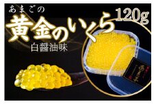 【数量限定】 清流の女王！あまごの黄金イクラ（白醤油づけ）【サーモン 天城 川魚 紅姫 サツキマス 清流 湧き水 大型化 刺身 サーモンピンク 脂 清流の女王 釣り人 甘味 美味 絶賛 しずおか食セレクション 養殖魚 塩漬け 絶品 縁起 プレゼント】012-013