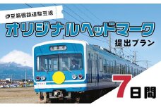 伊豆箱根鉄道駿豆線　オリジナルヘッドマーク掲出プラン（7日間）  【鉄道 駿豆線 ヘッドマーク オリジナル  記念 思い出】［20-006］