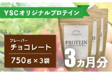 YOKOHAMA STRENGTH & CONDITIONING PROTEIN COMPLETE NUTRITION　3ヶ月分 ホエイプロテインパウダー チョコレート風味 ドリンク メンテナンス ホエイ 健康 体 維持  057-001