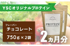 YOKOHAMA STRENGTH & CONDITIONING PROTEIN COMPLETE NUTRITION　2ヶ月分 ホエイプロテインパウダー チョコレート風味 ドリンク メンテナンス ホエイ 健康 体 維持  039-002