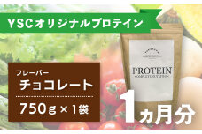 YOKOHAMA STRENGTH & CONDITIONING PROTEIN COMPLETE NUTRITION　1ヶ月分 ホエイプロテインパウダー チョコレート風味 ドリンク メンテナンス ホエイ 健康 体 維持  020-016