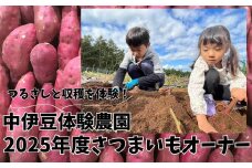 【中伊豆体験農園】お子様の食育に！！サツマイモの植え付けと収穫を体験！2025年度受付分