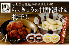 【 数量限定】 らっきょうの甘酢漬け(130g×2パック) ＆梅干し(160g×2パック）セット | 伊豆 天城農園 青い鳥 グランマ らっきょうグランパ 梅 無添加 減塩 静岡 天城 | 015-009
