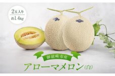 御前崎市産アローマメロン（白）2玉入り