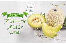 御前崎市産アローマメロン（山等級）1玉入り