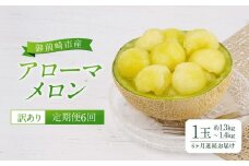 【定期便6回】【訳あり】御前崎市産アローマメロン　1玉　6ヶ月連続お届け