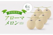 御前崎市産アローマメロン(白）6玉入り