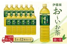【定期便6ヶ月】お～いお茶　濃い茶1L×12本　［おーいお茶 ペットボトル 1リットル ケース 箱 伊藤園 静岡］