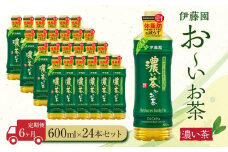 【定期便6ヶ月】お～いお茶　濃い茶600ml×24本　［おーいお茶 ペットボトル ケース 箱 伊藤園 静岡］