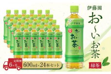 【定期便6ヶ月】お～いお茶　緑茶600ml×24本　［おーいお茶 ペットボトル ケース 箱 伊藤園 静岡］