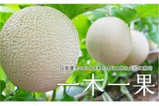 贈答用  静岡アローマメロン　極上山級　1.4kg   6個セット