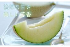 御前崎満喫セット:静岡アローマメロン白級２個＋「八潮」のペア宿泊券(1泊2食付)