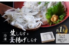 冷凍生しらす＋釜揚げしらすセット 約1kg（生しらす100g × 5・釜揚げしらす70g × 7）静岡県御前崎産 しらす丼  小分け 個包装 便利 大容量 徳用  海鮮丼 どんぶり 刺身 おつまみ おかず 惣菜 晩ごはん