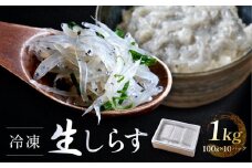 冷凍生しらす　1kg（100g × 10）静岡県御前崎産  生しらす丼 10杯分 小分け 個包装 便利 大容量 徳用 海鮮丼  使いやすい食べきりサイズ どんぶり 刺身 おつまみ おかず 惣菜 晩ごはん