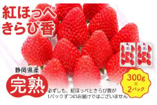 先行受付【静岡県産いちご】完熟紅ほっぺ・きらぴ香2パックセット（300g×2パック）【2026年1月下旬以降発送予定】