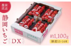 【2026年度 先行予約】 農家直送！静岡いちご　DX　糖度13～14度　1100g 程度（270～280g×4パック）甘くて地元大人気！やみつきリピーター多数　御前崎産　数量限定