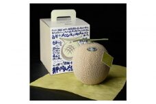 【限定企画商品】静岡人 × 山下メロンの最高級のマスクメロン 1玉 Ｌ玉1.6kg～1.7kg  静岡温室メロン「バカうまいメロン」「自慢のメロンを届けたい！！」　高級果実店に仕入れるほどの自信のあるメロン  ギフト  メロン めろん 箱詰め フルーツ 果物  産地直送 甘いメロン 糖度   青肉