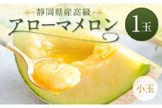 静岡県産 高級 アローマメロン 小玉 1玉 約0.9kg以上 化粧箱入｜ 果物 フルーツ メロン めろん 青肉 高級ブランドメロン ブランドメロン 高級メロン 贈答