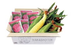 朝どれ とうもろこし 10本～12本・枝豆 約200g×5袋 （計1kg） セット【2024年6月上旬～6月下旬発送予定】 野菜 トウモロコシ もろこし スイートコーン 甘々娘 甘太郎 ドルチェドリーム 旬  旬の野菜 旬の食材 朝採り 朝採れ 新鮮 豆 おやつ おつまみ 冷蔵 静岡