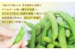 枝豆 湯あがり娘 約1kg ｜ 野菜 豆 えだまめ おつまみ おやつ 旬 旬の野菜 国産 小分け 個包装 静岡県 菊川市