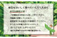 枝豆 湯あがり娘 約1kg ｜ 野菜 豆 えだまめ おつまみ おやつ 旬 旬の野菜 国産 小分け 個包装 静岡県 菊川市
