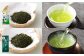 深蒸し茶 詰め合わせ 6種 セット 計約575g 【緑茶 茶葉 ティーバッグ】 ｜ お茶 茶 深蒸し菊川茶 深蒸し 菊川茶