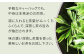 静岡茶 おすすめ 深蒸し茶 バラエティセット（お茶：10種・茶筒1本）お茶 お茶セット 緑茶 抹茶 玄米茶 ティーバッグ 和紅茶