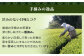 静岡茶 たっぷり 1.2kg（7種 12袋）逸品 深蒸し茶 お茶 お茶セット 緑茶 深蒸し煎茶 高級煎茶 荒茶 くき茶 静岡緑茶