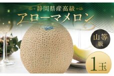静岡県産高級 アローマメロン 山等級 1玉 約1.3kg以上 化粧箱入｜ 果物 フルーツ メロン めろん 青肉 高級ブランドメロン ブランドメロン 高級メロン 贈答