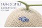【3ヶ月定期便】静岡県産 高級 アローマメロン 小玉 1玉 約2.7kg以上 化粧箱入