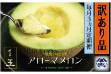 【3ヶ月定期便】訳あり 静岡県産 アローマメロン 1玉 約1.0kg以上×1玉×3回 計約3.0kg以上 化粧箱入 訳アリ 訳あり 果物 フルーツ メロン めろん 青肉 高級 高級ブランドメロン ブランドメロン 高級メロン