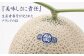【3ヶ月定期便】訳あり 静岡県産 アローマメロン 1玉 約3.0kg以上 化粧箱入