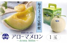 【3ヶ月定期便】静岡県産 高級 アローマメロン 白等級 1玉 約1.0kg以上×1玉×3回 計約3.0kg以上 化粧箱入 果物 フルーツ メロン めろん 青肉 高級ブランドメロン ブランドメロン 高級メロン 贈答