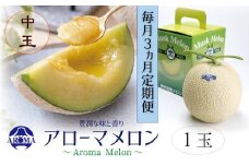 【3ヶ月定期便】静岡県産高級 アローマメロン 白等級 中玉1玉 約1.3kg以上×中玉1玉×3回 計約3.9kg以上 化粧箱入 果物 フルーツ メロン めろん 青肉 高級ブランドメロン ブランドメロン 高級メロン 贈答