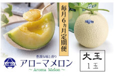 【6ヶ月定期便】静岡県産高級 アローマメロン 白等級 大玉1玉 約1.5kg以上×大玉1玉×6回 計約9.0kg以上 化粧箱入 果物 フルーツ メロン めろん 青肉 高級ブランドメロン ブランドメロン 高級メロン 贈答
